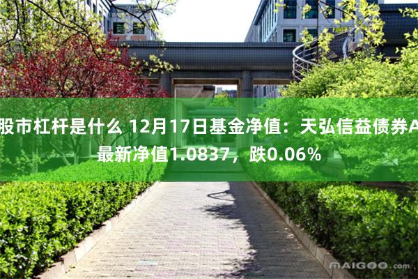 股市杠杆是什么 12月17日基金净值：天弘信益债券A最新净值1.0837，跌0.06%