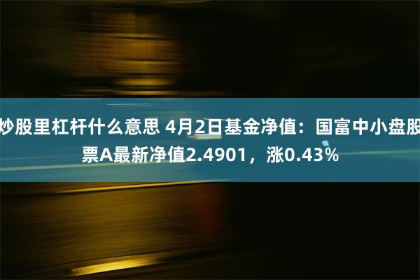 炒股里杠杆什么意思 4月2日基金净值：国富中小盘股票A最新净值2.4901，涨0.43%