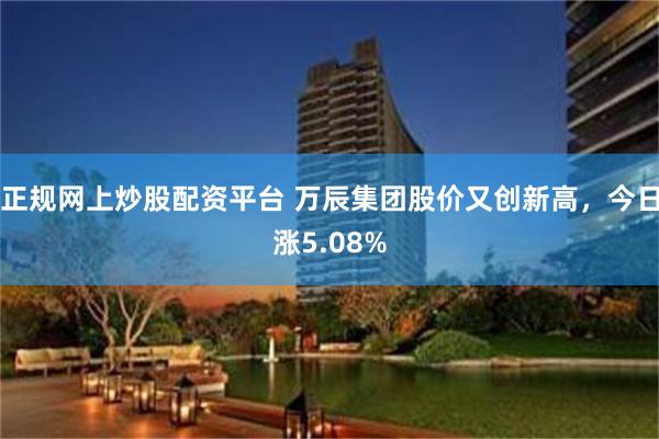 正规网上炒股配资平台 万辰集团股价又创新高，今日涨5.08%