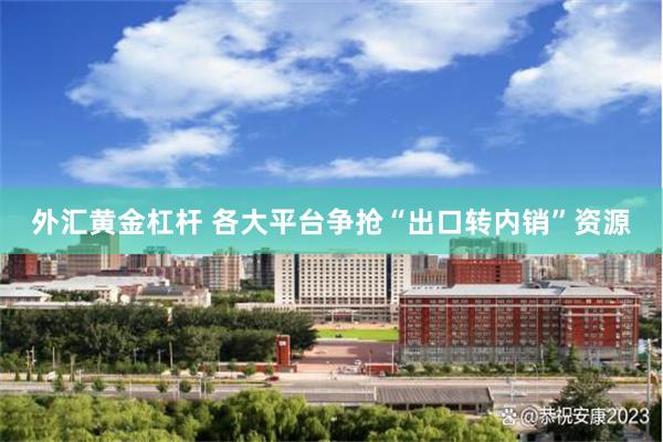 外汇黄金杠杆 各大平台争抢“出口转内销”资源