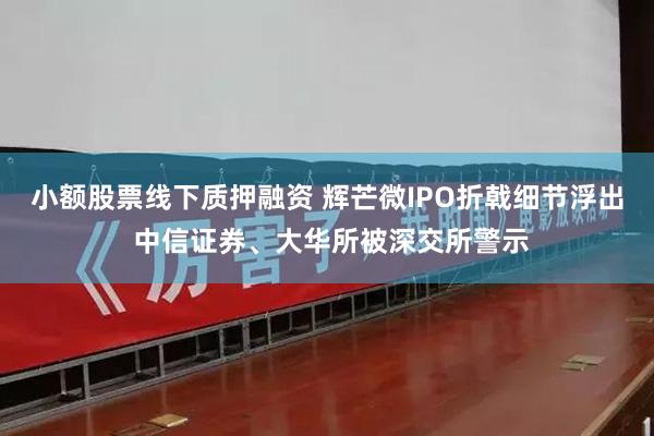 小额股票线下质押融资 辉芒微IPO折戟细节浮出 中信证券、大华所被深交所警示