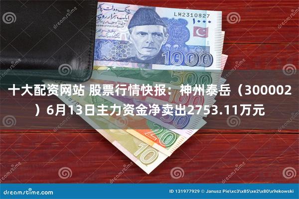 十大配资网站 股票行情快报：神州泰岳（300002）6月13日主力资金净卖出2753.11万元