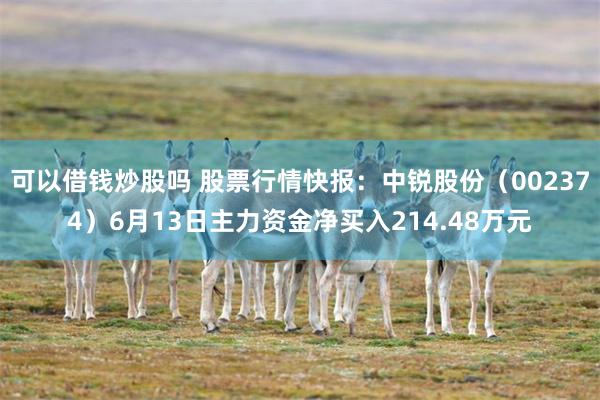 可以借钱炒股吗 股票行情快报：中锐股份（002374）6月13日主力资金净买入214.48万元