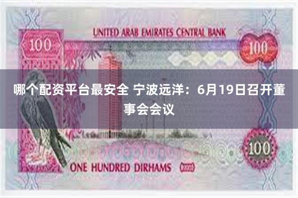 哪个配资平台最安全 宁波远洋：6月19日召开董事会会议