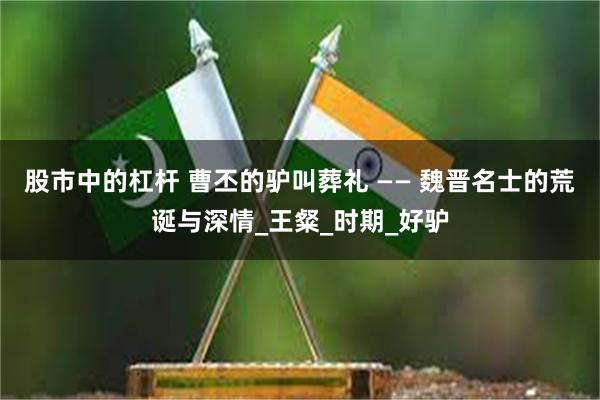 股市中的杠杆 曹丕的驴叫葬礼 —— 魏晋名士的荒诞与深情_王粲_时期_好驴