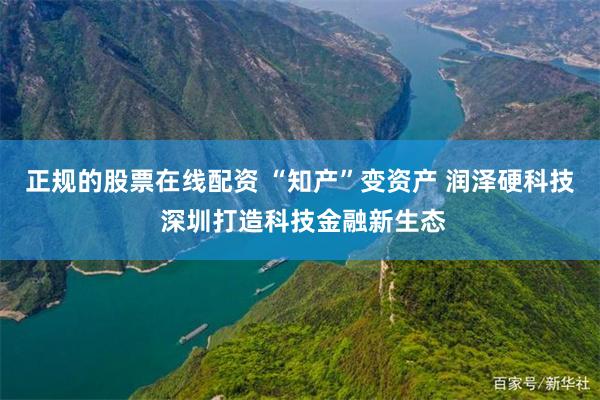 正规的股票在线配资 “知产”变资产 润泽硬科技 深圳打造科技金融新生态