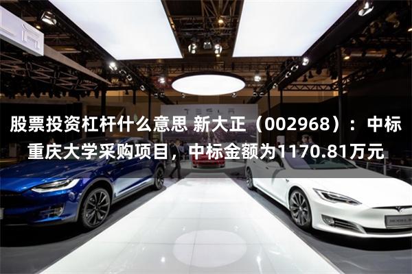 股票投资杠杆什么意思 新大正（002968）：中标重庆大学采购项目，中标金额为1170.81万元