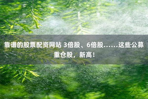靠谱的股票配资网站 3倍股、6倍股……这些公募重仓股，新高！