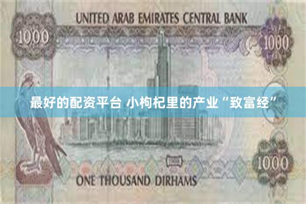 最好的配资平台 小枸杞里的产业“致富经”